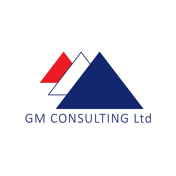 GM Consulting LLC